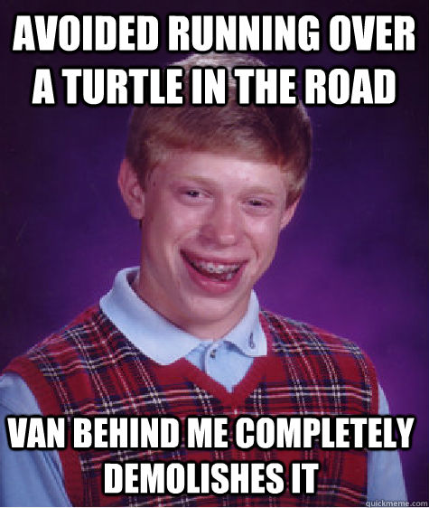 Avoided running over a turtle in the road Van behind me completely demolishes it   Bad Luck Brian