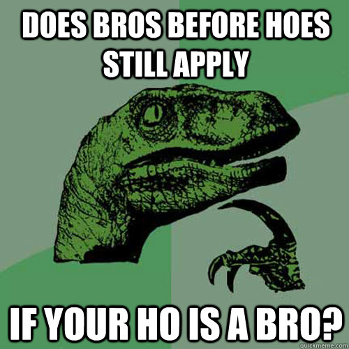 Does Bros before hoes still apply if your ho is a bro? - Does Bros before hoes still apply if your ho is a bro?  Philosoraptor