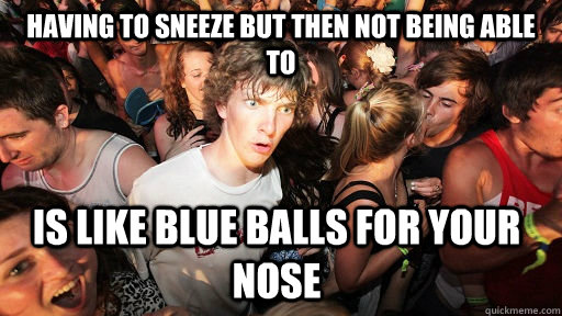 Having to sneeze but then not being able to is like blue balls for your nose  Sudden Clarity Clarence