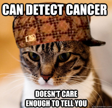 can detect cancer doesn't care enough to tell you  Scumbag Cat