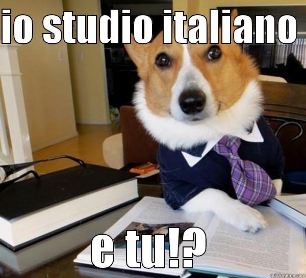 IO STUDIO ITALIANO  E TU!? Lawyer Dog