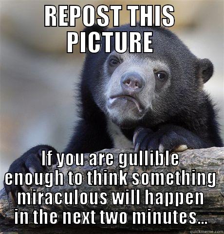 REPOST THIS PICTURE IF YOU ARE GULLIBLE ENOUGH TO THINK SOMETHING MIRACULOUS WILL HAPPEN IN THE NEXT TWO MINUTES... Confession Bear