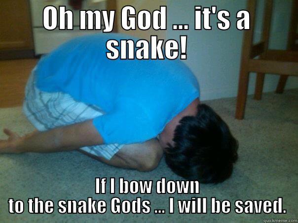 OH MY GOD ... IT'S A SNAKE! IF I BOW DOWN TO THE SNAKE GODS ... I WILL BE SAVED. Misc
