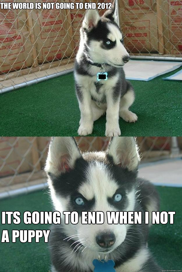 the world is not going to end 2012 it´s going to end when i not a puppy  Insanity puppy