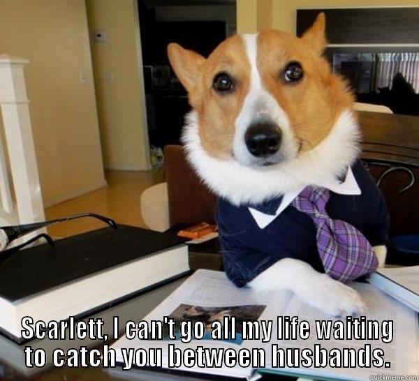  SCARLETT, I CAN'T GO ALL MY LIFE WAITING TO CATCH YOU BETWEEN HUSBANDS. Lawyer Dog