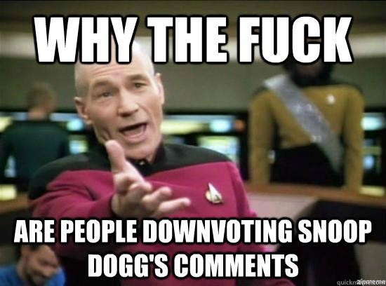 Why the fuck are people downvoting Snoop Dogg's comments  Annoyed Picard HD