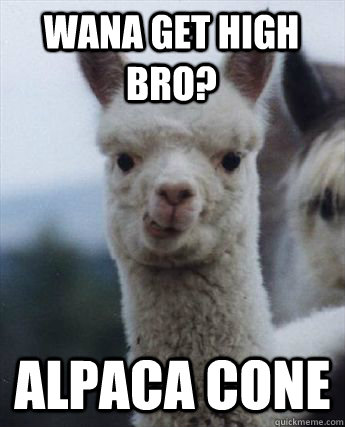 Wana get high bro? alpaca cone  