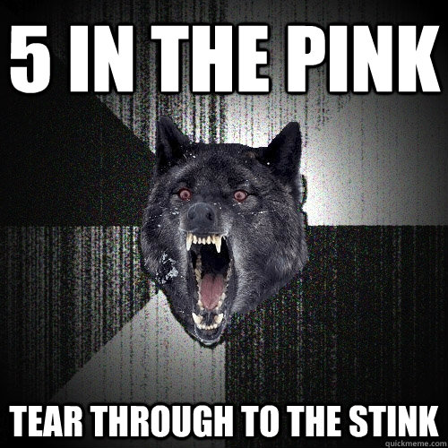 5 in the pink Tear through to the stink  Insanity Wolf