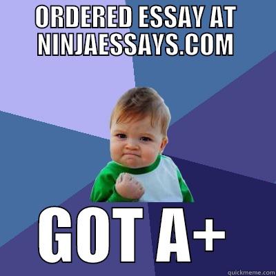 ORDERED ESSAY AT NINJAESSAYS.COM GOT A+ Success Kid