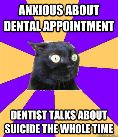 ANXIOUS ABOUT DENTAL APPOINTMENT DENTIST TALKS ABOUT SUICIDE THE WHOLE TIME  Anxiety Cat