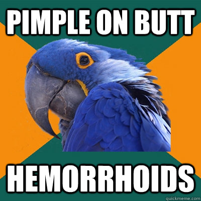 Pimple on butt hemorrhoids  Paranoid Parrot