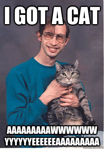 I got a cat Aaaaaaaaawwwwww Yyyyyyeeeeeeaaaaaaaaa  typical redditor