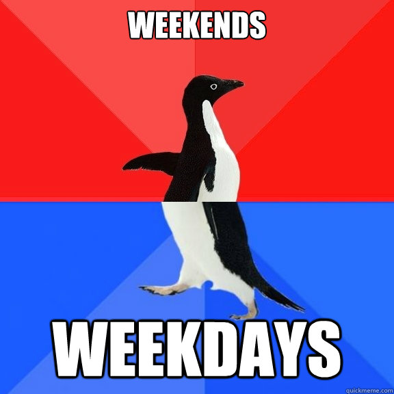 weekends weekdays  Socially Awksome Penguin