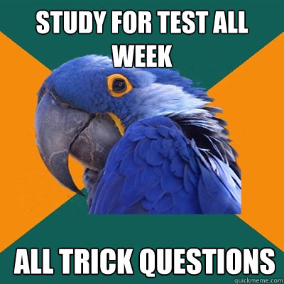 study for test all week  All trick questions  Paranoid Parrot