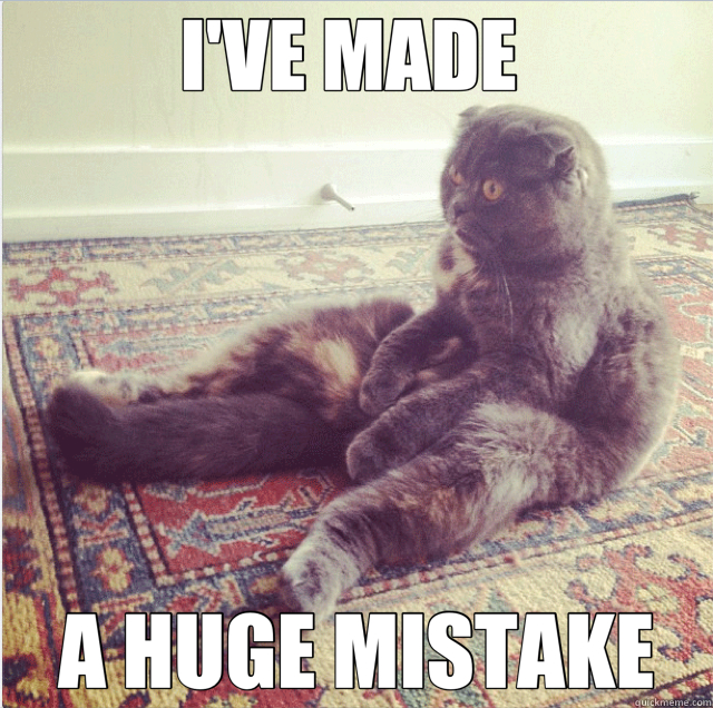 I'VE MADE  A HUGE MISTAKE - I'VE MADE  A HUGE MISTAKE  Realization Cat