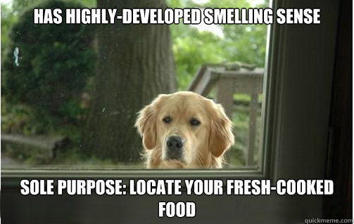 has highly-developed smelling sense sole purpose: locate your fresh-cooked food - has highly-developed smelling sense sole purpose: locate your fresh-cooked food  Misc