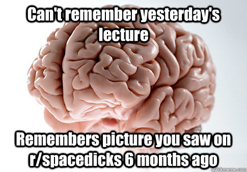Can't remember yesterday's lecture Remembers picture you saw on r/spacedicks 6 months ago  Scumbag Brain