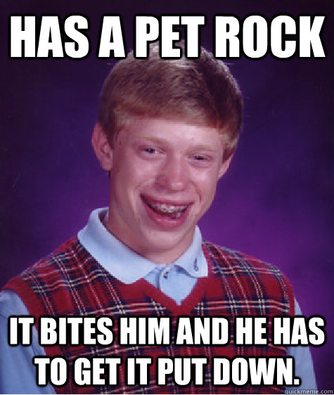 Has a Pet rock it bites him and he has to get it put down.  Bad Luck Brian
