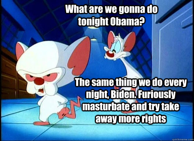 What are we gonna do tonight Obama? The same thing we do every night, Biden. Furiously masturbate and try take away more rights  Pinky and the Brain