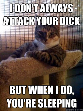 I don't always attack your dick but when I do, you're sleeping  The Most Interesting Cat in the World