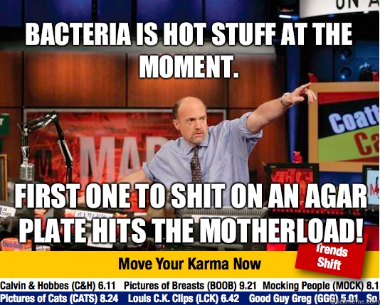 Bacteria is hot stuff at the moment. First one to shit on an agar plate hits the motherload! - Bacteria is hot stuff at the moment. First one to shit on an agar plate hits the motherload!  Mad Karma with Jim Cramer