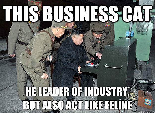 this business cat he leader of industry, 
but also act like feline - this business cat he leader of industry, 
but also act like feline  kim jong un