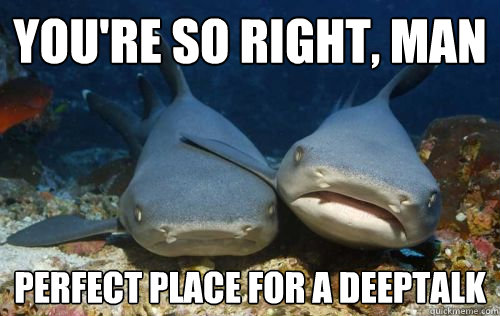 You're so right, man Perfect place for a deeptalk  Compassionate Shark Friend