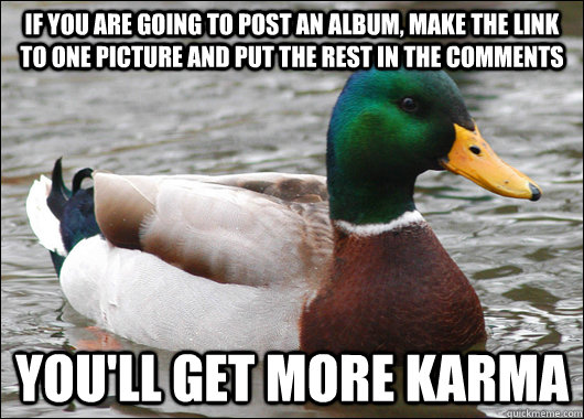 If you are going to post an album, make the link to one picture and put the rest in the comments You'll get more karma - If you are going to post an album, make the link to one picture and put the rest in the comments You'll get more karma  Actual Advice Mallard