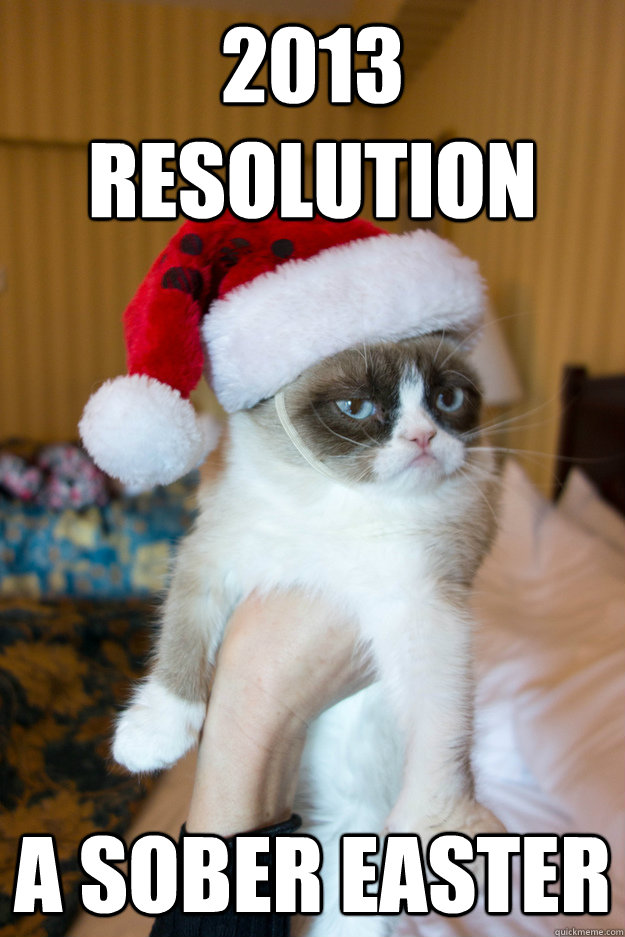 2013 resolution a sober easter  GRUMPY CAT NEW YEAR
