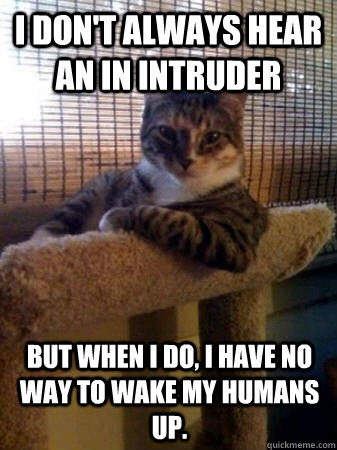 I don't always hear an in intruder but when I do, I have no way to wake my humans up.  The Most Interesting Cat in the World