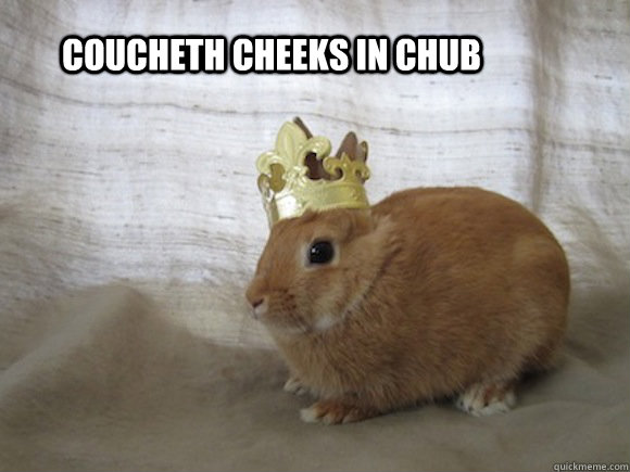 coucheth cheeks in chub  Renaissance Rabbit