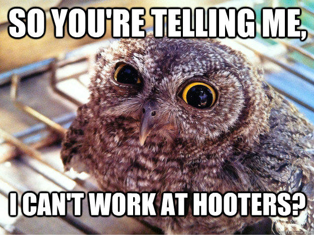 So you're telling me, I can't work at hooters?  Skeptical Owl