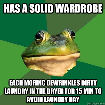 HAS A SOLID WARDROBE EACH MORING DEWRINKlEs DIRTY LAUNDRY IN THE DRYER FOR 15 MIN TO AVOID LAunDRY DAY  Foul Bachelor Frog