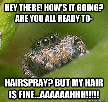 hey there! how's it going? are you all ready to- hairspray? but my hair is fine...AAAAAAHHH!!!!! - hey there! how's it going? are you all ready to- hairspray? but my hair is fine...AAAAAAHHH!!!!!  Misunderstood Spider