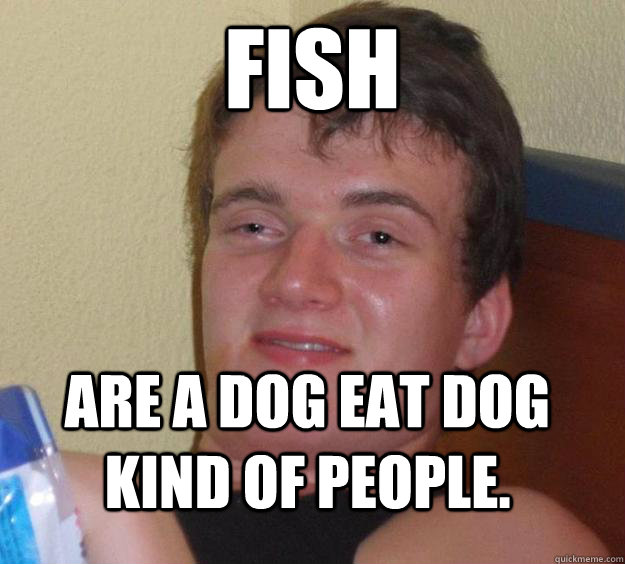 Fish  are a dog eat dog kind of people. - Fish  are a dog eat dog kind of people.  10 Guy