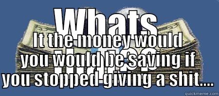 Geico money eyes. - WHATS THAT?? IT THE MONEY WOULD YOU WOULD BE SAVING IF YOU STOPPED GIVING A SHIT.... Misc