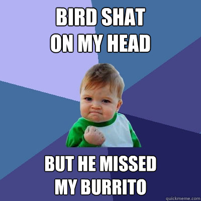 Bird shat 
on my head but he missed 
my burrito  Success Kid