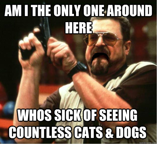 Am i the only one around here WHOS SICK OF SEEING COUNTLESS CATS & DOGS - Am i the only one around here WHOS SICK OF SEEING COUNTLESS CATS & DOGS  Misc