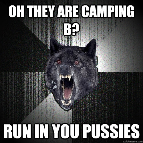oh they are camping b? RUN IN YOU PUSSIES  Insanity Wolf