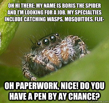 Oh hi there: My name is Boris the Spider and I’m looking for a job. My specialties include catching wasps, mosquitoes, flie- Oh paperwork, nice! Do you have a pen by ay chance?  Misunderstood Spider