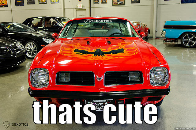 thats cute super duty firebird -  THATS CUTE Misc