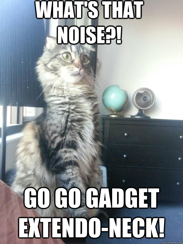 what's that noise?! go go gadget extendo-neck! - what's that noise?! go go gadget extendo-neck!  Misc