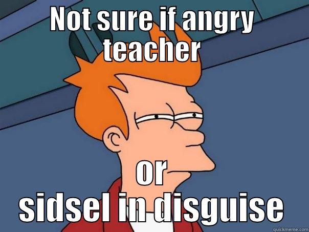 NOT SURE IF ANGRY TEACHER OR SIDSEL IN DISGUISE Futurama Fry