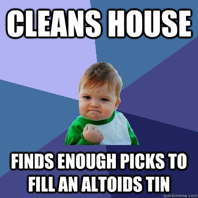 Cleans house Finds enough picks to fill an altoids tin  Success Kid