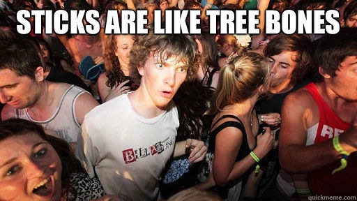 Sticks ARE like tree bones     Sudden Clarity Clarence