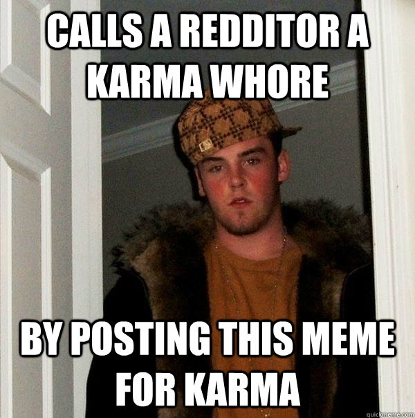 calls a redditor a karma whore  by posting this meme for karma  Scumbag Steve