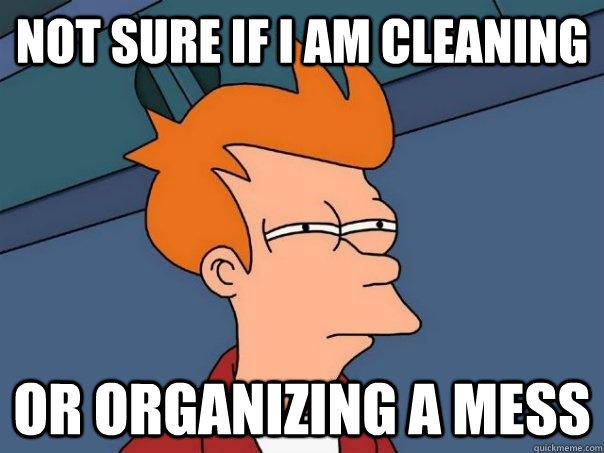 Not sure if I am Cleaning  Or organizing a mess  Futurama Fry