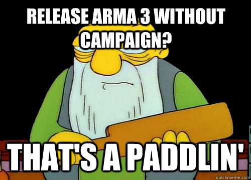 Release ArmA 3 without campaign? That's a Paddlin' - Release ArmA 3 without campaign? That's a Paddlin'  Thats a paddlin