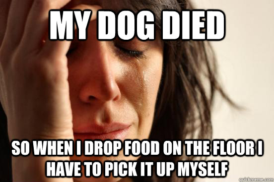 My dog died so when i drop food on the floor i have to pick it up myself - My dog died so when i drop food on the floor i have to pick it up myself  First World Problems