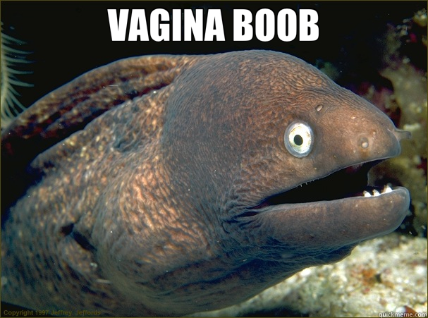 VAGINA BOOB   Bad Joke Eel